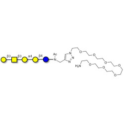 Globopentaose (Gb5) / Stage Specific Embryonic Antigen 3a (SSEA-3a) with free terminal amine (Linker-NH2 C)