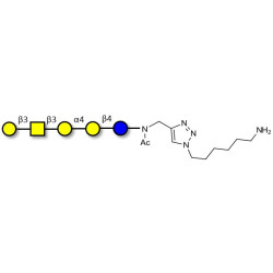 Globopentaose (Gb5) / Stage Specific Embryonic Antigen 3a (SSEA-3a) with free terminal amine (Linker-NH2 D)