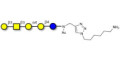 Globopentaose (Gb5) / Stage Specific Embryonic Antigen 3a (SSEA-3a) with free terminal amine (Linker-NH2 D)