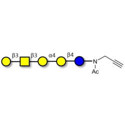 Globopentaose (Gb5) / Stage Specific Embryonic Antigen 3a (SSEA-3a) with terminal alkyne (Linker-CΞCH A)