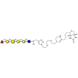 Globo-H hexaose / Stage Specific Embryonic Antigen 3b (SSEA-3b) linked to biotin (Linker-BT A)