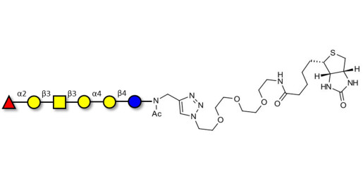 Globo-H hexaose / Stage Specific Embryonic Antigen 3b (SSEA-3b) linked to biotin (Linker-BT A) - GLY123-NAc-sp3-Bt