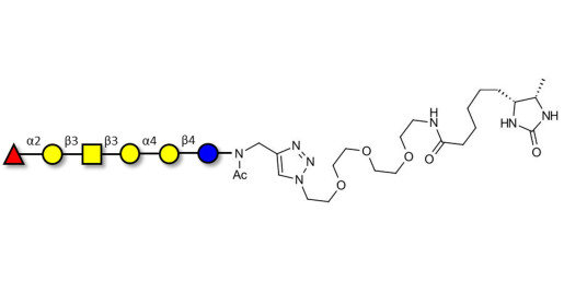 Globo-H hexaose / Stage Specific Embryonic Antigen 3b (SSEA-3b) linked to desthiobiotin (Linker-DBT-A)