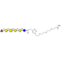 Globo-H hexaose / Stage Specific Embryonic Antigen 3b (SSEA-3b) grafted on gel for affinity chromatography (Linker-GEL A)