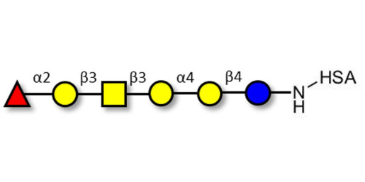 Globo-H hexaose / Stage Specific Embryonic Antigen 3b (SSEA-3b) grafted on HSA