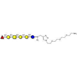Globo-H hexaose / Stage Specific Embryonic Antigen 3b (SSEA-3b) with free terminal amine (Linker-NH2 B)