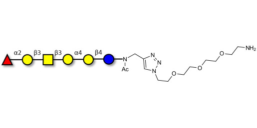 Globo-H hexaose / Stage Specific Embryonic Antigen 3b (SSEA-3b) with free terminal amine (Linker-NH2 B) - GLY123-NAc-sp1-NH2-90%