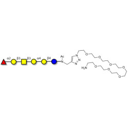 Globo-H hexaose / Stage Specific Embryonic Antigen 3b (SSEA-3b) with free terminal amine (Linker-NH2 C)