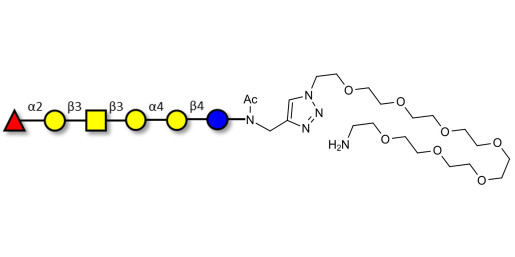 Globo-H hexaose / Stage Specific Embryonic Antigen 3b (SSEA-3b) with free terminal amine (Linker-NH2 C)