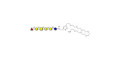 Globo-H hexaose / Stage Specific Embryonic Antigen 3b (SSEA-3b) with free terminal amine (Linker-NH2 C)