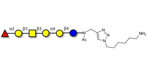 Globo-H hexaose / Stage Specific Embryonic Antigen 3b (SSEA-3b) with free terminal amine (Linker-NH2 D)