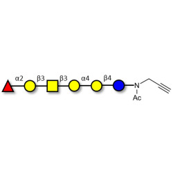 Globo-H hexaose / Stage Specific Embryonic Antigen 3b (SSEA-3b) with terminal alkyne (Linker-CΞCH A)