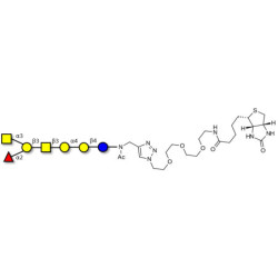 Globo-A heptaose linked to biotin (Linker-BT A)