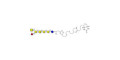 Globo-A heptaose linked to biotin (Linker-BT A) - GLY124-NAc-sp3-Bt