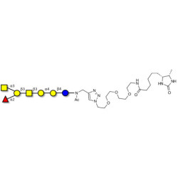 Globo-A heptaose linked to desthiobiotin (Linker-DBT-A)