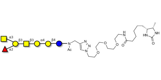 Globo-A heptaose linked to desthiobiotin (Linker-DBT-A)