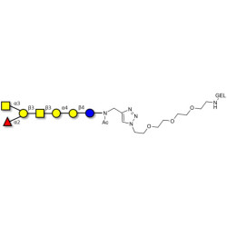 Globo-A heptaose grafted on gel for affinity chromatography (Linker-GEL A)