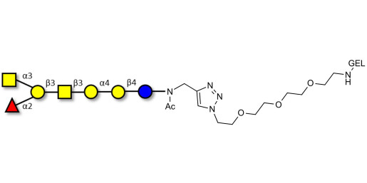 Globo-A heptaose grafted on gel for affinity chromatography (Linker-GEL A)