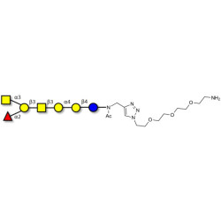 Globo-A heptaose with free terminal amine (Linker-NH2 B)
