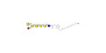 Globo-A heptaose with free terminal amine (Linker-NH2 B)