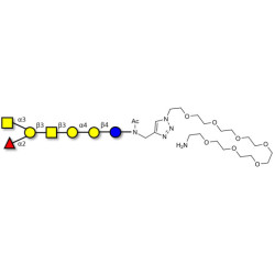Globo-A heptaose with free terminal amine (Linker-NH2 C)