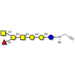 Globo-A heptaose with terminal alkyne (Linker-CΞCH A)