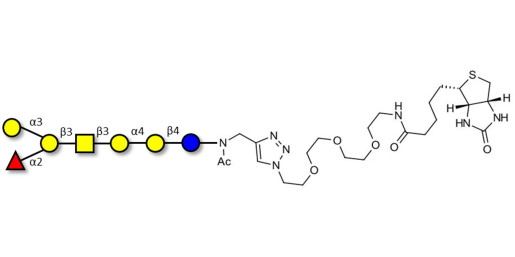 Globo-B heptaose linked to biotin (Linker-BT A) - GLY125-NAc-sp3-Bt