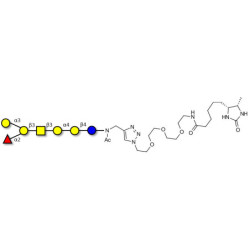 Globo-B heptaose linked to desthiobiotin (Linker-DBT-A)
