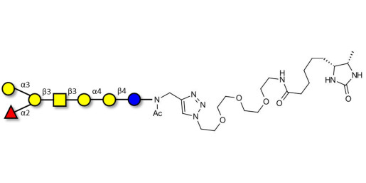 Globo-B heptaose linked to desthiobiotin (Linker-DBT-A)