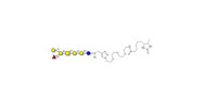 Globo-B heptaose linked to...