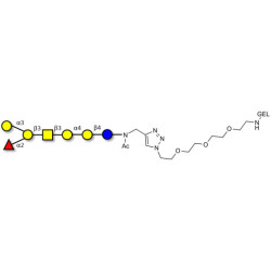 Globo-B heptaose grafted on gel for affinity chromatography (Linker-GEL A)