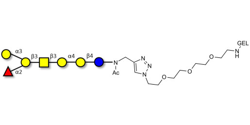 Globo-B heptaose grafted on gel for affinity chromatography (Linker-GEL A)