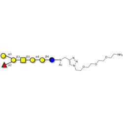 Globo-B heptaose with free terminal amine (Linker-NH2 B)
