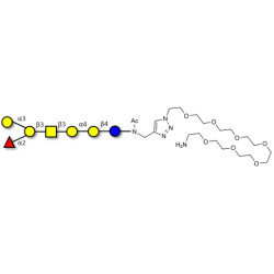 Globo-B heptaose with free terminal amine (Linker-NH2 C)