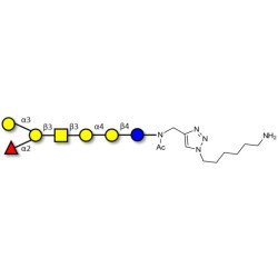 Globo-B heptaose with free terminal amine (Linker-NH2 D)