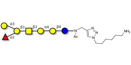 Globo-B heptaose with free terminal amine (Linker-NH2 D)