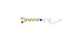 Globo-B heptaose with free terminal amine (Linker-NH2 D)