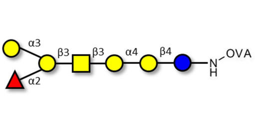 Globo-B heptaose grafted on OVA