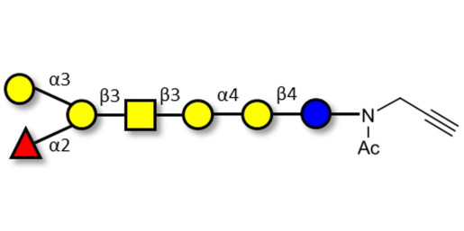 Globo-B heptaose with terminal alkyne (Linker-CΞCH A) - GLY125-NPR