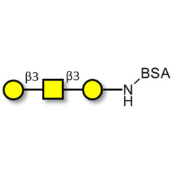 Core type 4 (Gb5 triose core structure) grafted on BSA