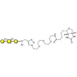 Core type 4 (Gb5 triose core structure) linked to biotin (Linker-BT A)