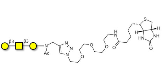 Core type 4 (Gb5 triose core structure) linked to biotin (Linker-BT A)