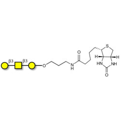 Core type 4 (Gb5 triose core structure) linked to biotin (Linker-BT B)