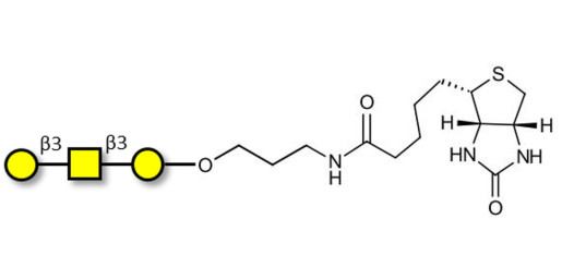 Core type 4 (Gb5 triose core structure) linked to biotin (Linker-BT B)
