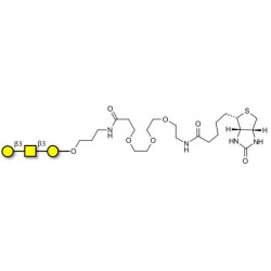Core type 4 (Gb5 triose core structure) linked to biotin (Linker-BT C)