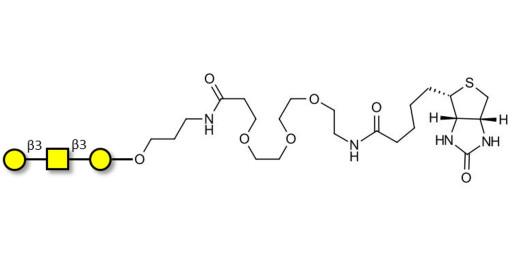 Core type 4 (Gb5 triose core structure) linked to biotin (Linker-BT C)