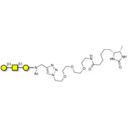 Core type 4 (Gb5 triose core structure) linked to desthiobiotin (Linker-DBT-A)