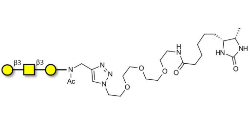 Core type 4 (Gb5 triose core structure) linked to desthiobiotin (Linker-DBT-A)
