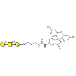 Core type 4 (Gb5 triose core structure) linked to fluorescein (Linker-FLUO A)