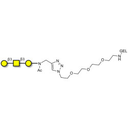 Core type 4 (Gb5 triose core structure) grafted on gel for affinity chromatography (Linker-GEL A)